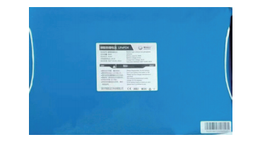 LiFePO4 Battery