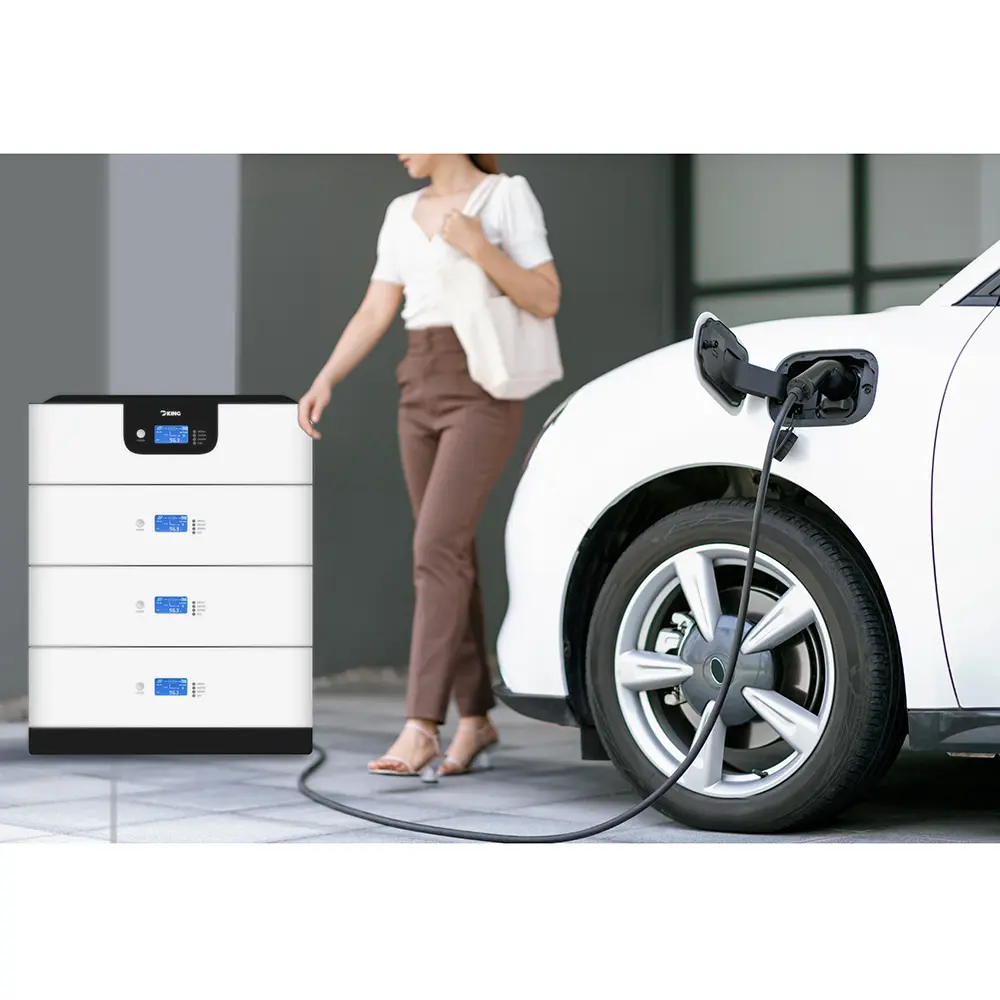 DKSRS01 ALL IN ONE 48V LITHIUM BATTERY WITH INVERTER AND CONTROLLER