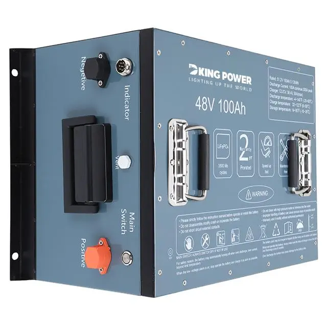 48V100AH of LIFEPO4 LITHIUM BATTERY 2