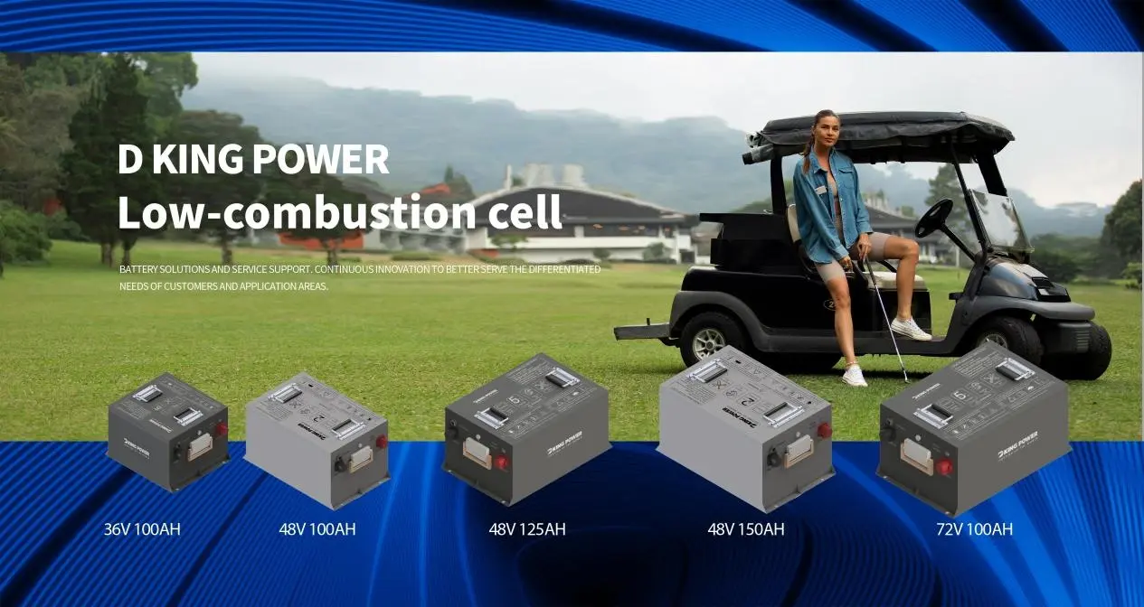 DK-LSEV SERIES LIFEPO4 LITHIUM BATTERY FOR OFF HIGH WAY VEHICLS 1