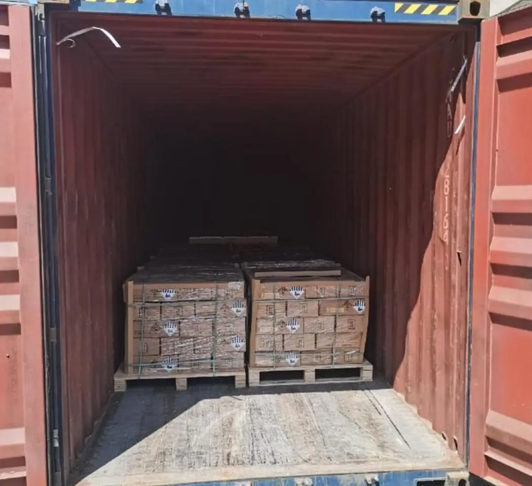 Package of Battery 12